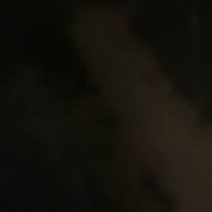 Dickies Black men’s cargo pants